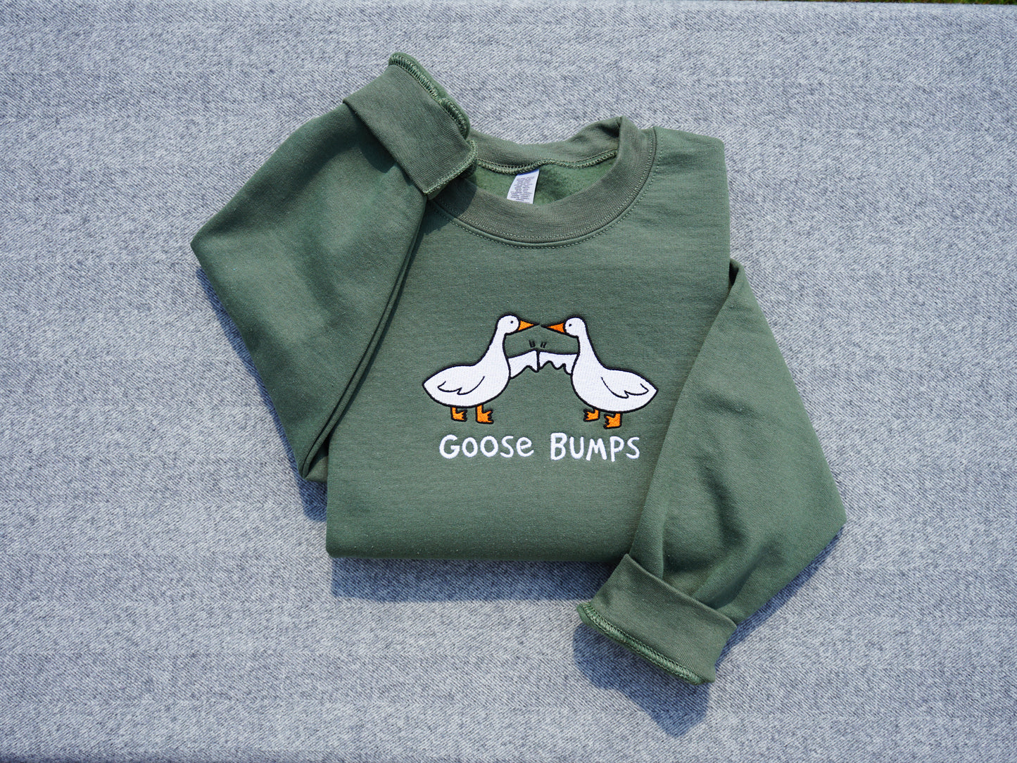 Goose Bumps Embroidered Sweatshirt