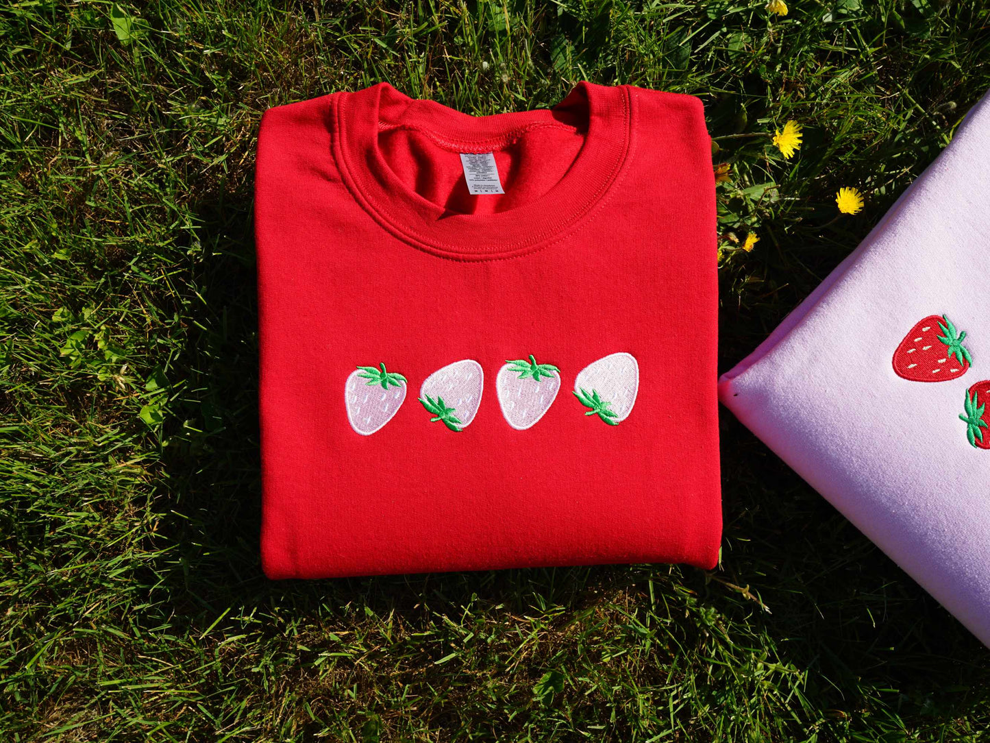 Strawberries Embroidered Sweatshirt